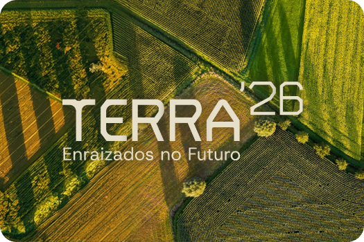 2026