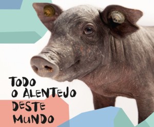 comunicadosdeimprensa