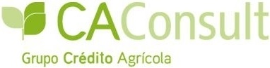 CA Consult