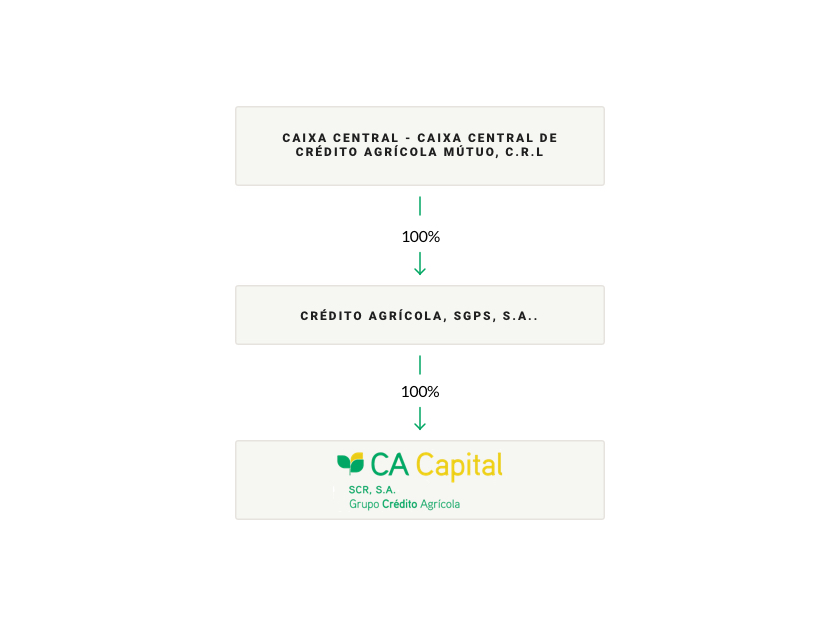 shareholder structure 01