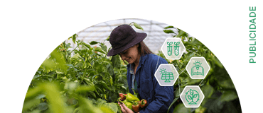 Destaque LC Antecipacao Ajudas 2025