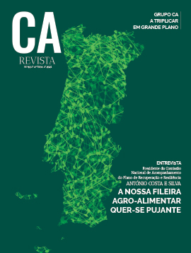 Thumbnail CA revista 62 